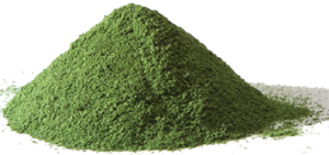 moringa-leaves-powder2