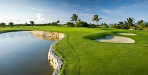  Green grass in the golf course