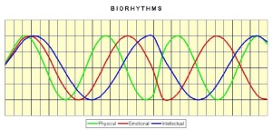 Biorhythms cycles