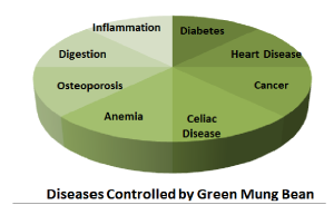  The Role Healthy Food in Disease Control