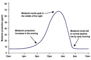 melatonin production