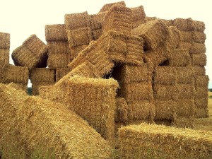 silage blocks