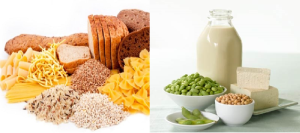 carbohdrate and protein fo a vegetarian diet