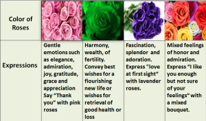 4 colors of rose expressing feelings