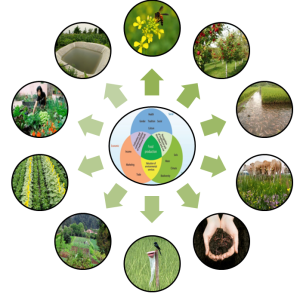 Agroecology components