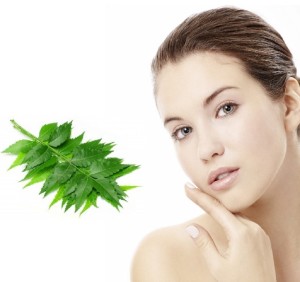 Benefits of Neem products for skin diseases