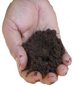 vermicompost dimla 