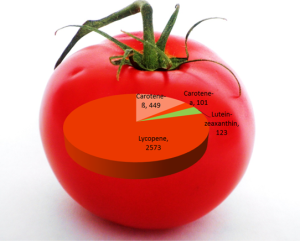 Phytonutrients in tomat png