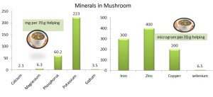 Minerals in mushroom