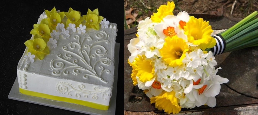 Cake and daffodil