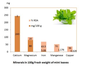 Minerals