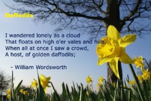 wordsworth-lonely-daffodils oem