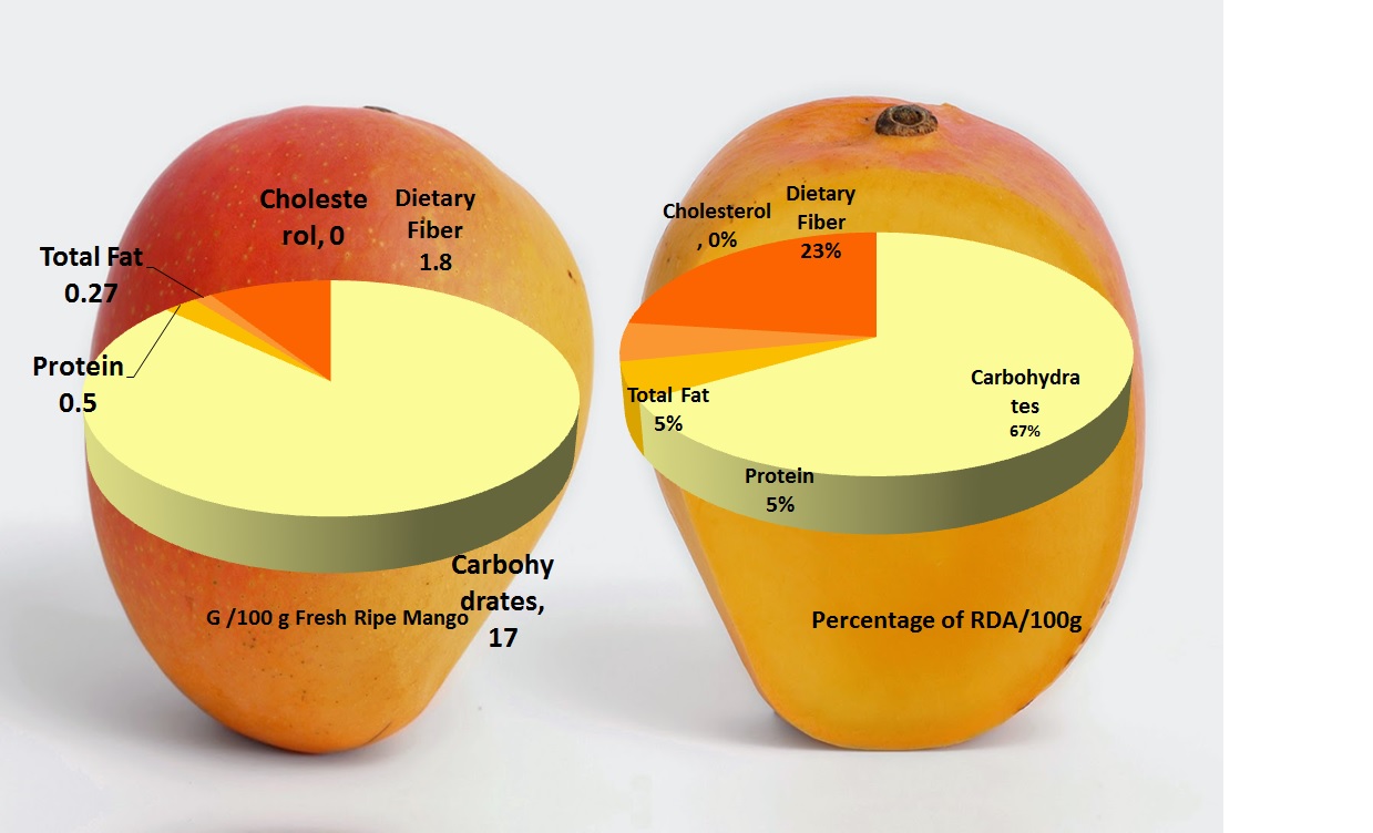 mango nutrition