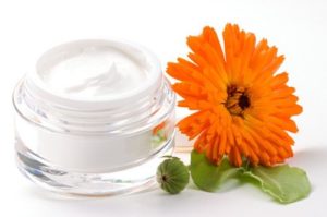 moisturizing face cream and fresh Gerbera flower