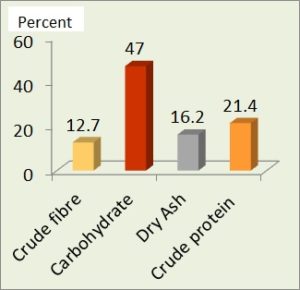 Elements in Azolla