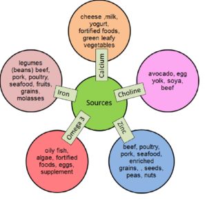 Sources of Nutrients for an expecting mother